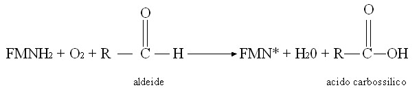 Formula1