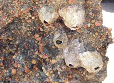 Foto2