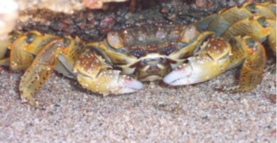 Foto6
