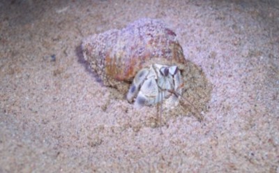 Foto7