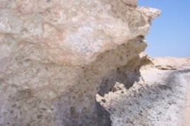 Foto8