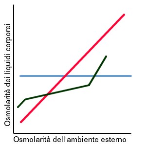 Grafico osmoregolazione