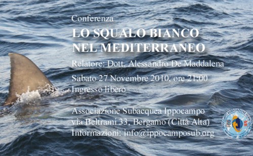 Conferenza Bergamo Squalo bianco