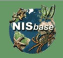Banner NIS Base