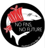 No Fins No Future