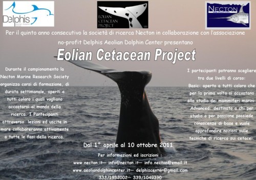 Eolian Cetacean project