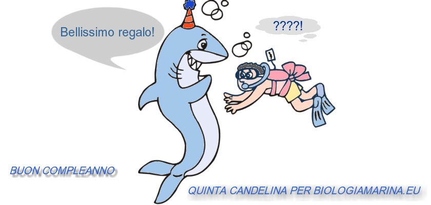 Buon Compleanno 2011