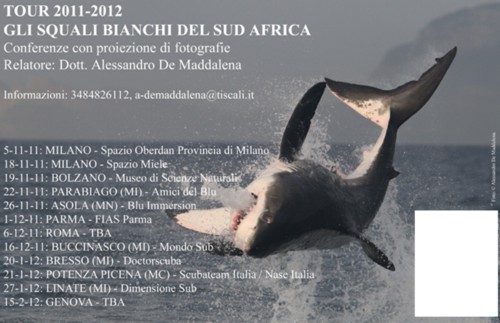 Conferenze squalo bianco sud Africa