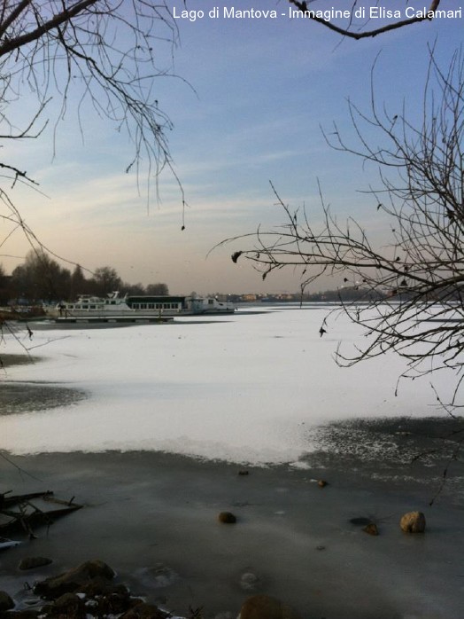 Lago di Mantova 2012