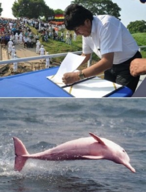 Protetto il delfino di fiume della Bolivia