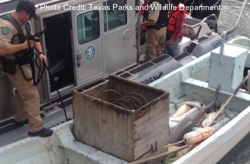 Operazione Shark Fin in Texas