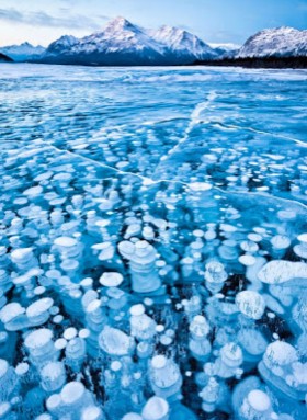 Abraham Lake