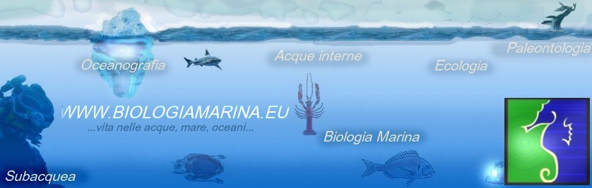 BiologiaMarina.eu