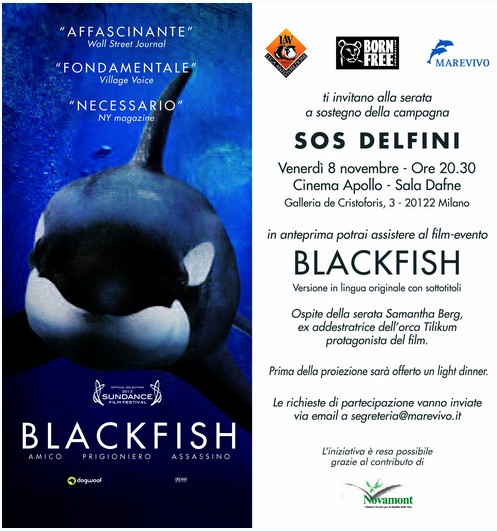 The BlackFish