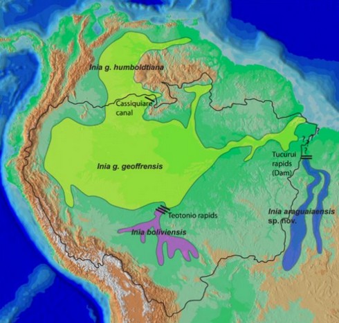 Mappa distribuzione delfini acqua dolce