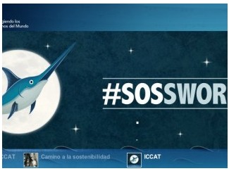 Save swordfish