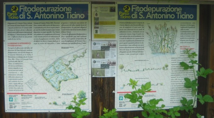 Fitodepurazione sant'Antonio Ticino