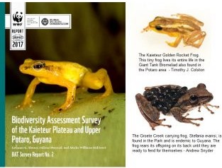 Biodiversity Guyana Report